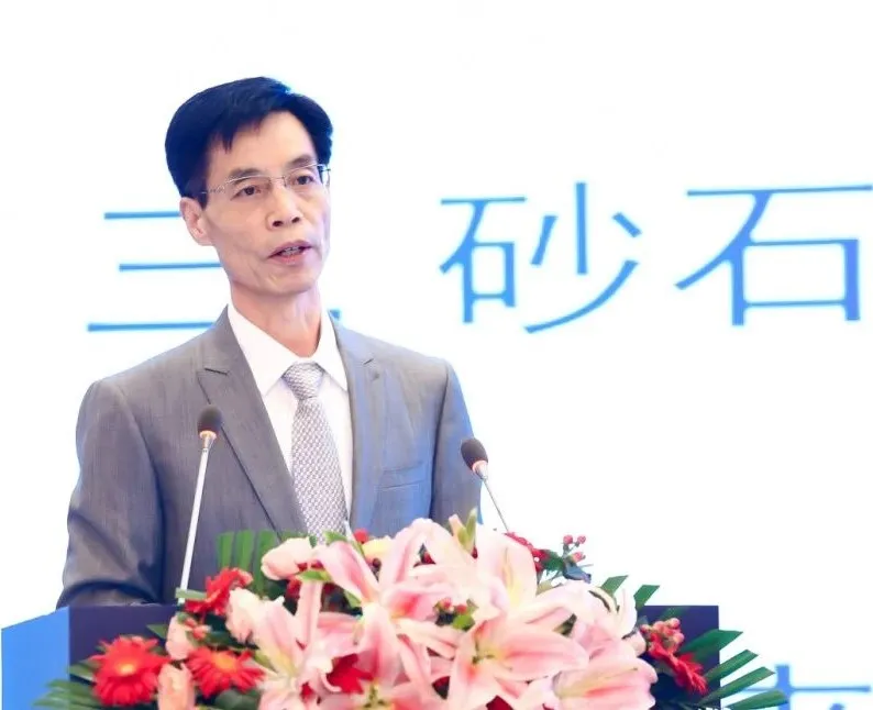 主旨報告 | 胡幼奕以國際化視角，提出固廢綜合利用和生態(tài)環(huán)境修復新思路